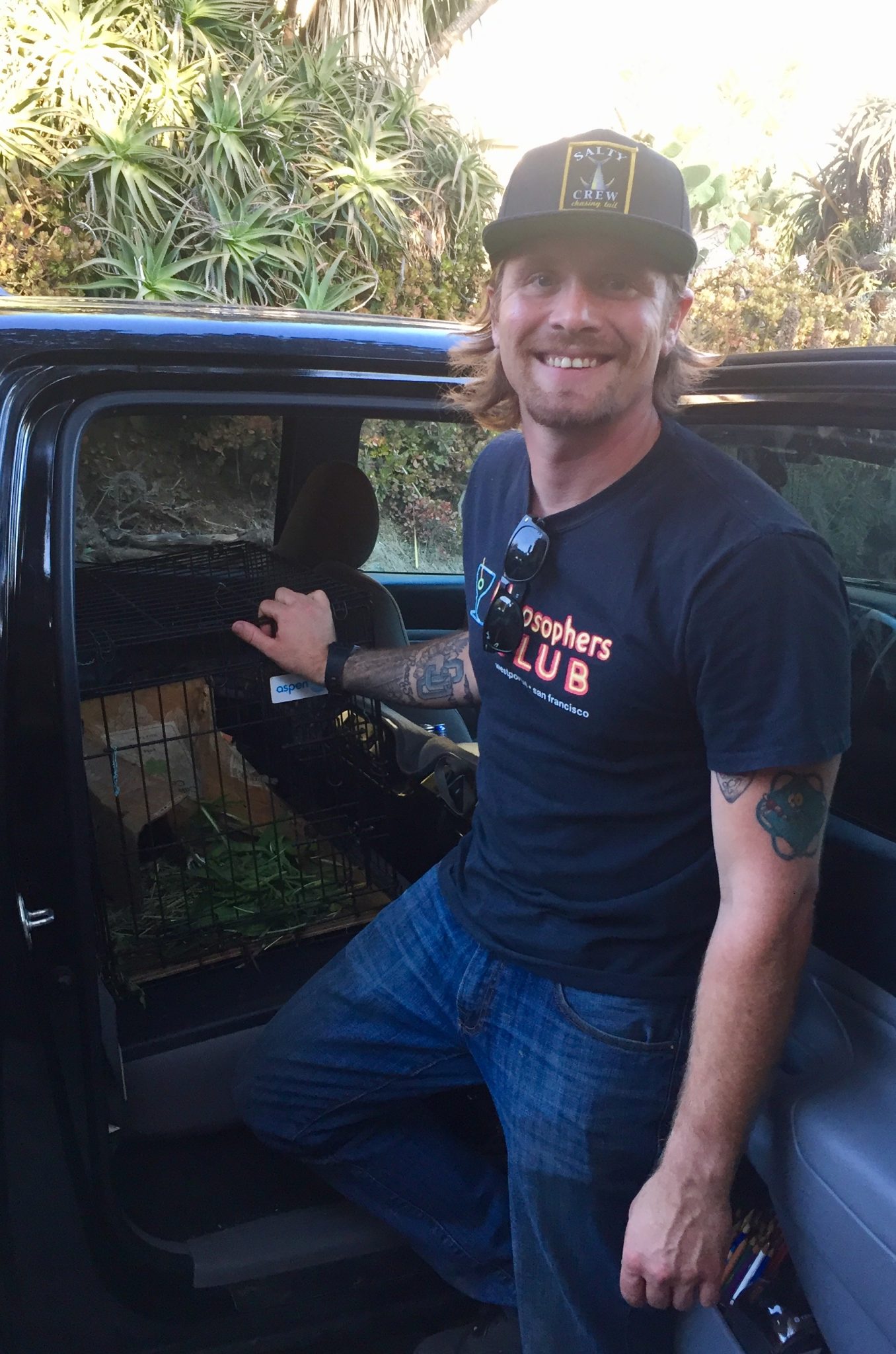 Animal transport photo